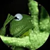 Harry Tanner - @harry.tanner35 - TikTok