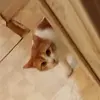 Henry Tarver - @henry.tarver - TikTok