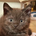 @harry_tasker_852 - Instagram