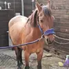 harrythebay - @harrythebay - TikTok