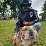 Harry Templeton - @templetonharry - Instagram