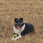 harry templeton - @harry273506 - Instagram