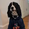 Henry Templeton - @henry.templeton - TikTok