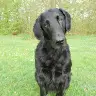 Harry Ter Huerne - @harryterhuerne - TikTok