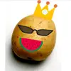 Harry poteter - @harry.poteter - TikTok