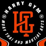 MUAY THAI HARRY GYM - @muaythaiharrygym - Instagram