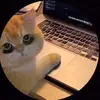 Harry Theo - @haivo9808 - TikTok