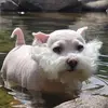 HarryTheOGBerry - @harrytheogberry5 - TikTok