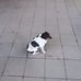Harry Thibodeaux - Facebook