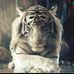 Harry Thornton - Facebook
