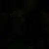 Harry Thornton - @harrythornton9 - TikTok
