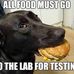 Harry Thornton - Facebook