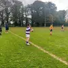 Harrytierney - @harrytierney5 - TikTok