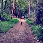 H.Tiller - @harrytiller112 - Instagram