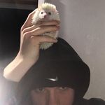 Harry - @_harry.tilley_ - Instagram