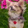 Tracy_harry - @tracy_harry - TikTok