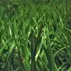 Harry Vick - @harry.vick2 - TikTok