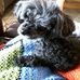 Harry Vickers - Facebook