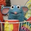 Henry Vogel - @hankthetank69420 - TikTok