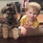 Harry Waldron - @waldronharry - Instagram