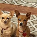 Harry Weiner - @dfltileandstone - Instagram