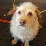 HARRY Weiner - @myharryweiner - Instagram