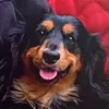 Harry Weiner - @myharryweiner - TikTok