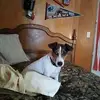 Harry Weiner - @harry.weiner4 - TikTok