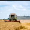 Harry wellman - @wellman.harry123 - TikTok