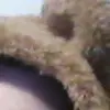 Harry - @harrywesley806 - TikTok