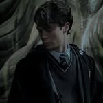 《》Harry Wesley Potter《》 - @harry_weasley_potter.1 - Instagram
