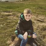 Harry Whiston - @harrywhiston2014 - Instagram