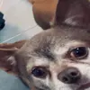 Harry Whiston - @harry.whiston - TikTok