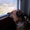 Harry Wilcox - @harrywilcox.com - TikTok