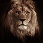 Harry Wilde - @vinari_wilde - Instagram