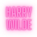 @harrywildeofficial - Instagram
