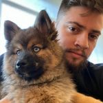 Harry Williams - @harrywillz147 - Instagram