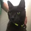 Harry Wiley - @harrywileyy - TikTok