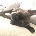 Harry Windham - Facebook