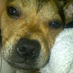 Harry-Lewis Windle - Facebook