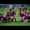 harryswindle10 - @harry81278 - TikTok