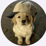 Harry Wing - @harry_wing_ - Instagram