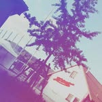 Wingar - @harry_wingar - Instagram