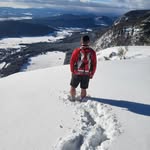 Harry Winkler - @_harrywinkler_ - Instagram