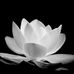 Harry Winn - Facebook