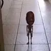Henry Winslow - @henry.winslow - TikTok
