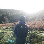 @_harrywithey_ - Instagram