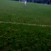 Harry - @harry.pioliwithey - TikTok