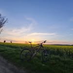 Harry wooler - @harry_wooler - Instagram