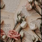 @harrywords_ - Instagram
